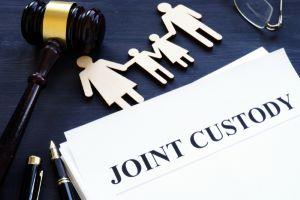 Novi legal and physical child custody attorney