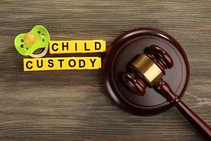 Novi child custody lawyer